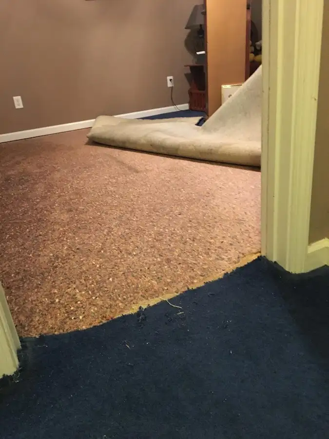Carpet pad removal revealing water damage during Drying & Dehumidification in St. Helens