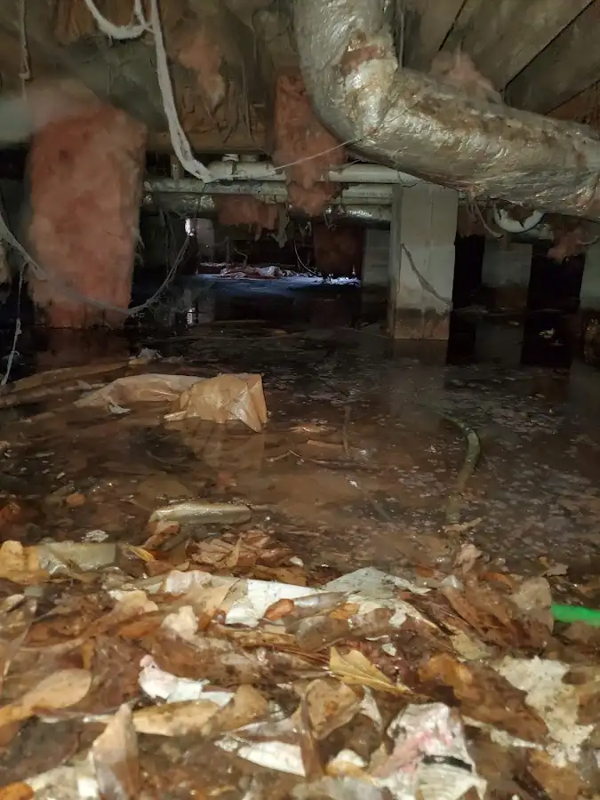 Crawl space flood assessment for Leak Detection & Repair in St. Helens